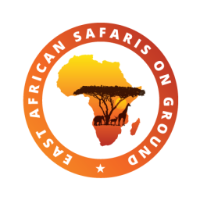 east african safaris on ground