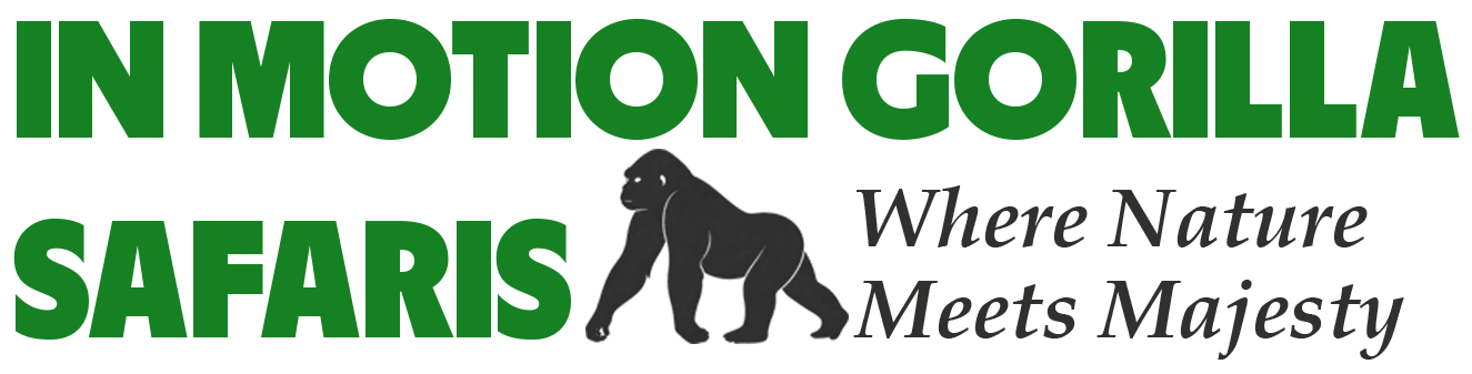 IN MOTION GORILLA SAFARIS