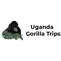 Uganda Gorilla Trip